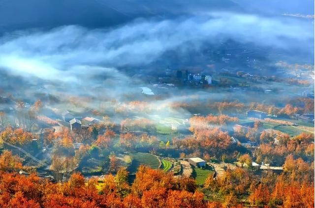 金川红叶季赏玩指南：2025年最不可错过的秋日盛宴