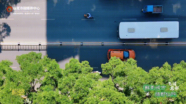 含氧量爆表！闯入花都临夏市的“绿野仙踪”，开启你的完美夏日～