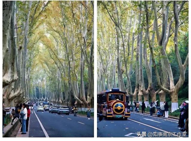这块南京顶流打卡地居然变成这样了？