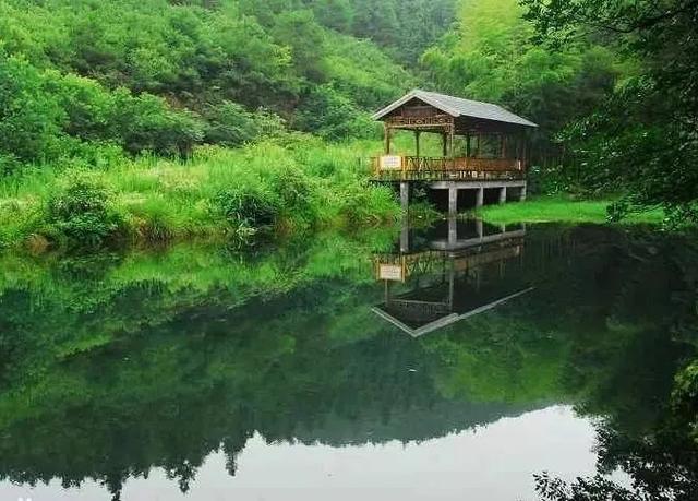体荟四季｜逃离40℃！这几处“清凉秘境”真的绝了！