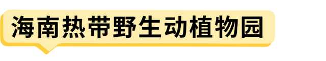 国庆假期海口活动总集→