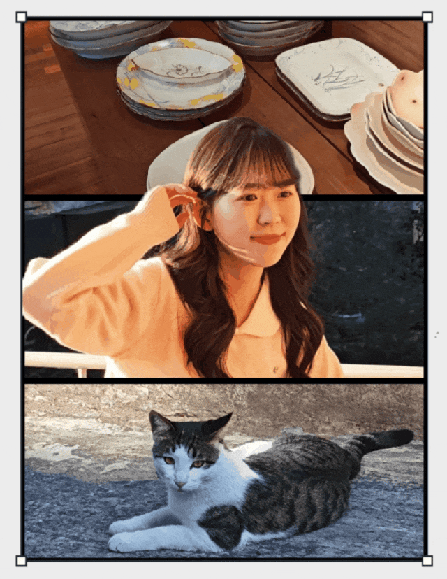 荣耀500系列评测