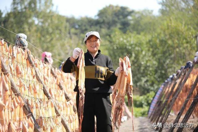 我是河南人,去了趟日照才发现:日照人跟其他地方的人还真不一样