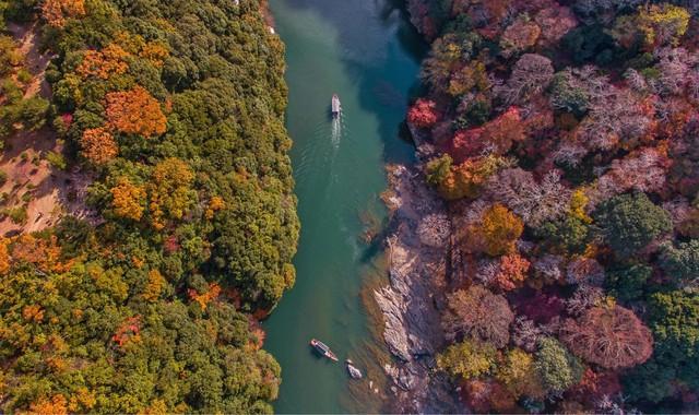 断航不扫秋兴！5个国内"熟透秋景"平替日本，规模颜值双碾压！