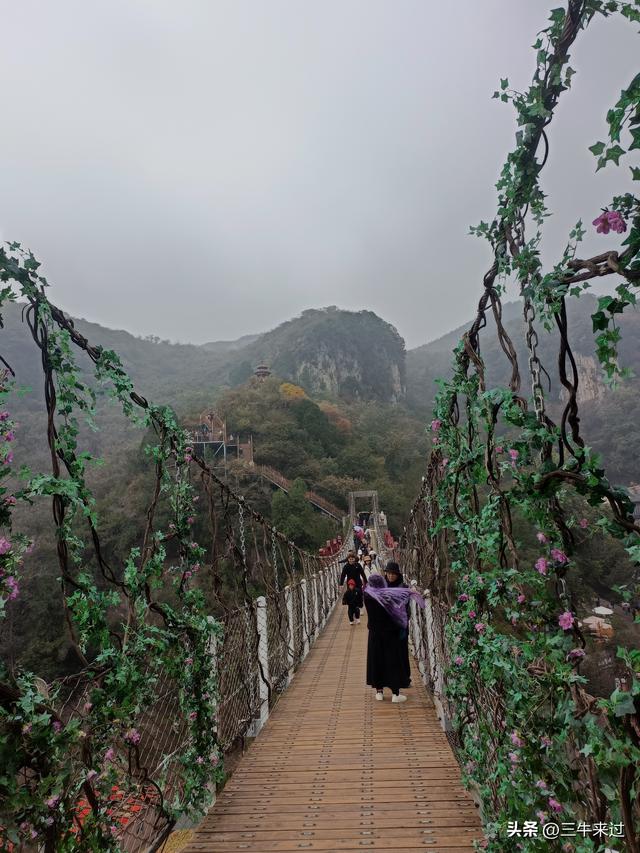 无为在歧路，柿岩之红叶