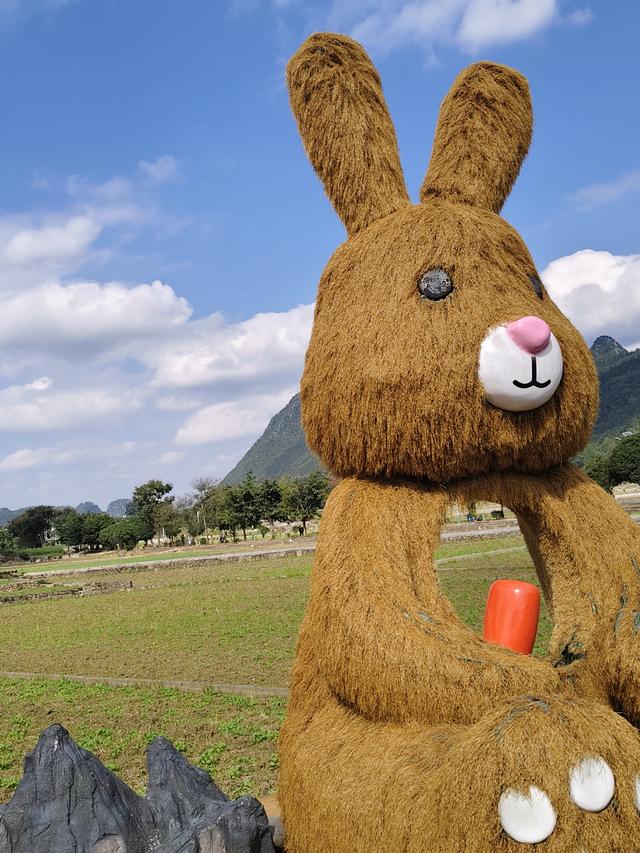 南行漫记：游兴文万峰林的攻略，万峰林是美的