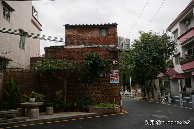 佛山真好逛——多彩的大墩村