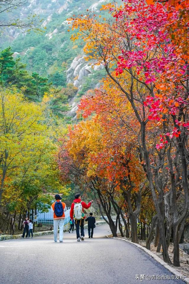 走不出这画了，我已被西海岸的秋景迷倒 🥹
