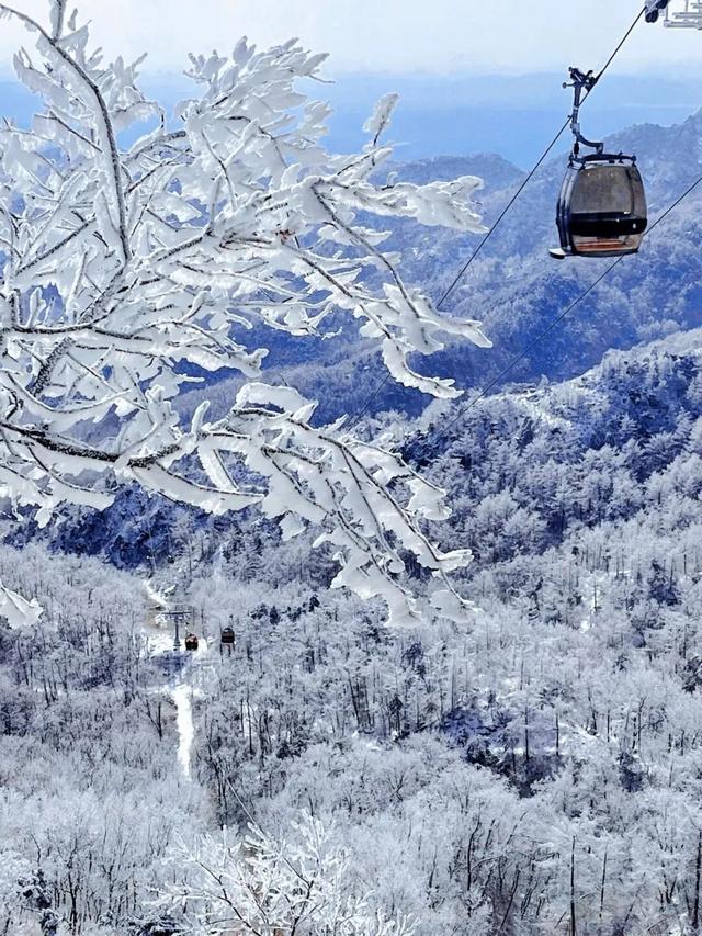 接下来的潍坊，你期待了吗？