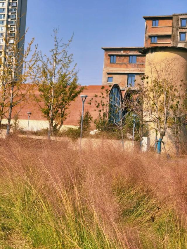 逛起来！8小时10个公园！