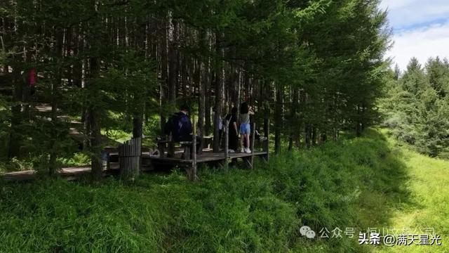 恒山讲韵|杨世骏:东方小瑞士东葫芦头村,花海美成阿勒泰既视感