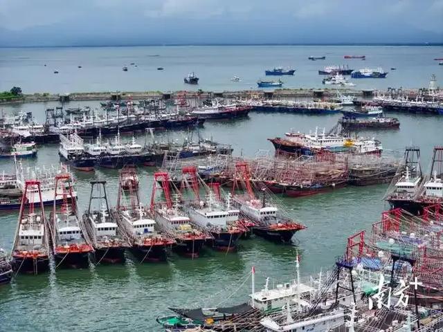 海味阳江:左手海鲜盛宴,右手千年渔风,快来这里赶海呀