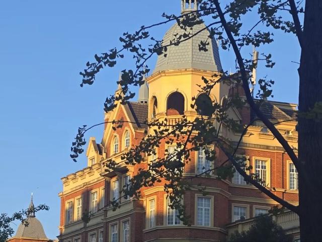 抬头！在寒冷的冬天再欣赏欣赏科院的秋吧