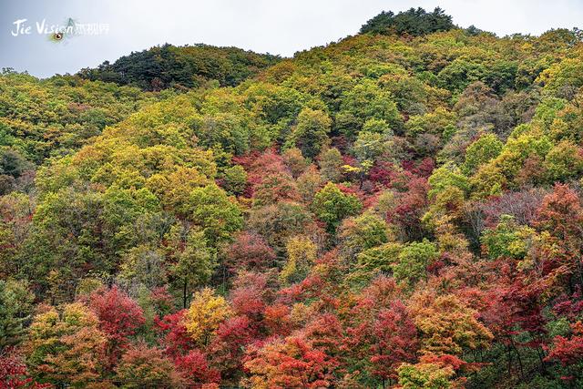 辽宁五女山秋景藏彩蛋！雾中五女山，红叶未满，意境已绝！
