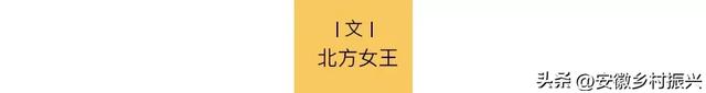 辛巴：命剩8年，火速退网
