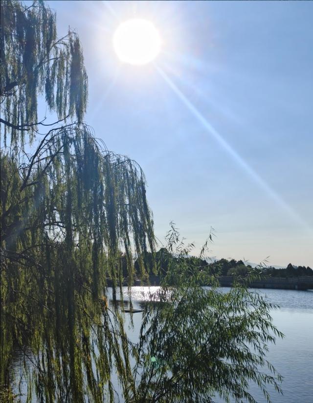 彩林映湖光 泰山虎山公园初冬画卷引客来