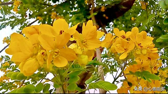 我这么爱你，你也爱我吗