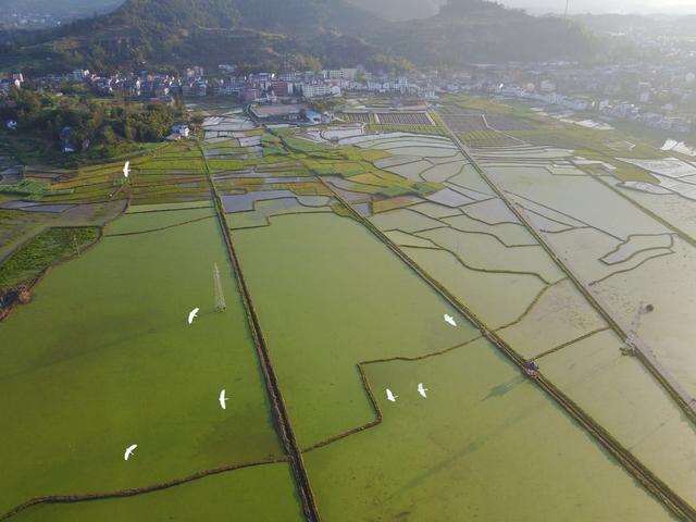 四川省开江县历史沿革及行政区划