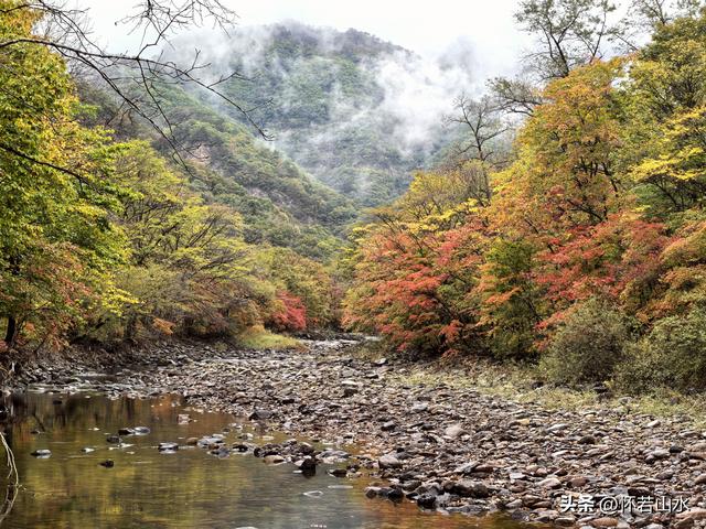 2025辽宁赏秋之旅日记(2)——游览丹东蒲石河森林公园