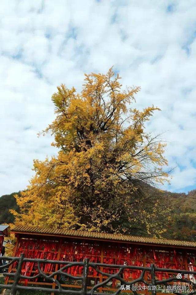 超出片!快来这里捕捉汉中秋色!