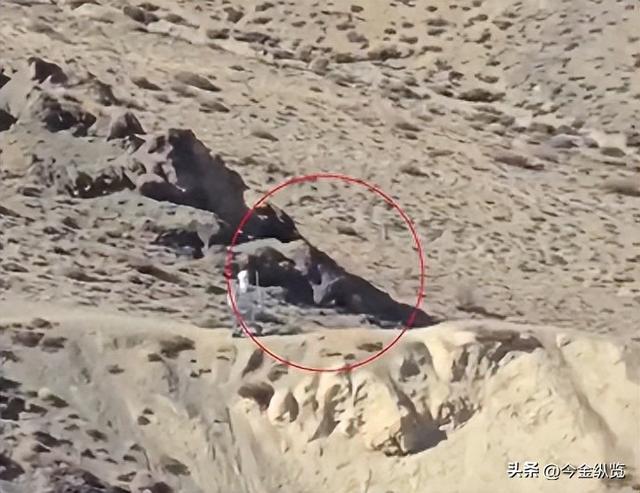 解放军机器人守卫中印边境，告别血肉之躯，边防迈入“智能时代”