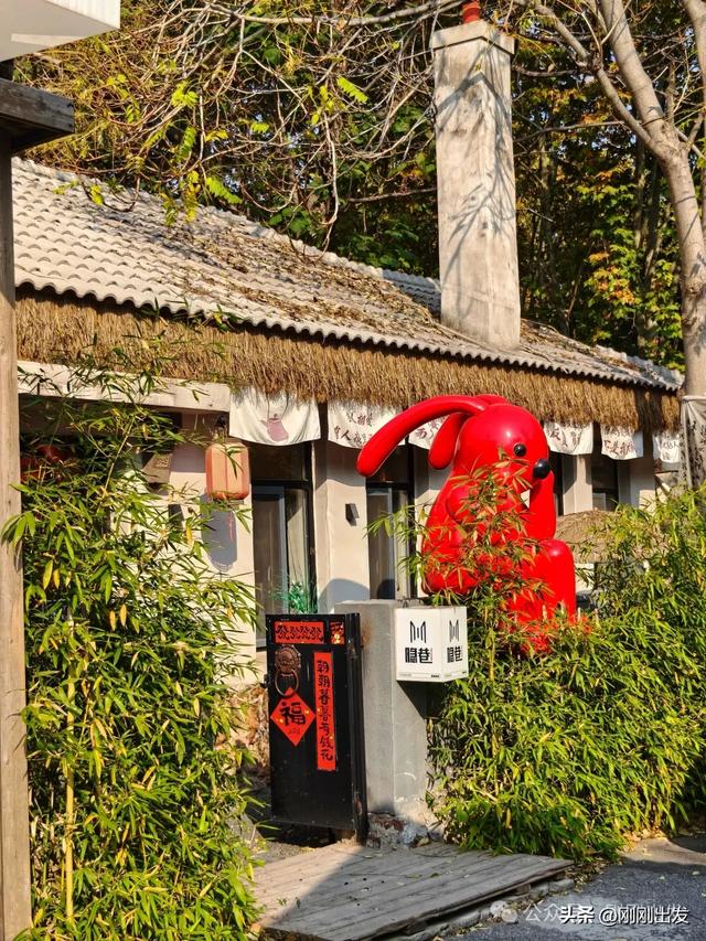 大连网红老街这棵银杏树火了，快来打卡吧