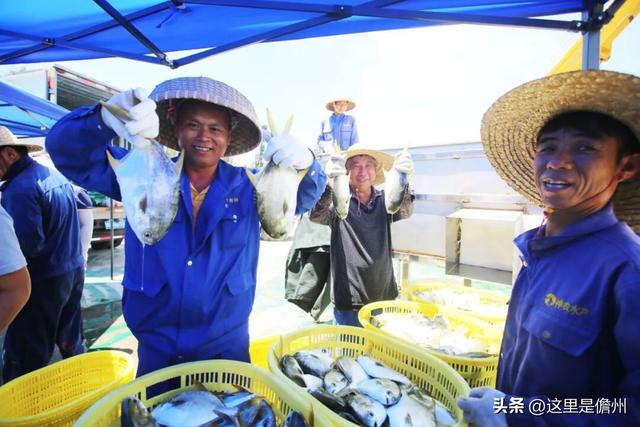 儋眉城市联动宣传特别报道丨东坡文化泽后世 “CP”双城谱新韵