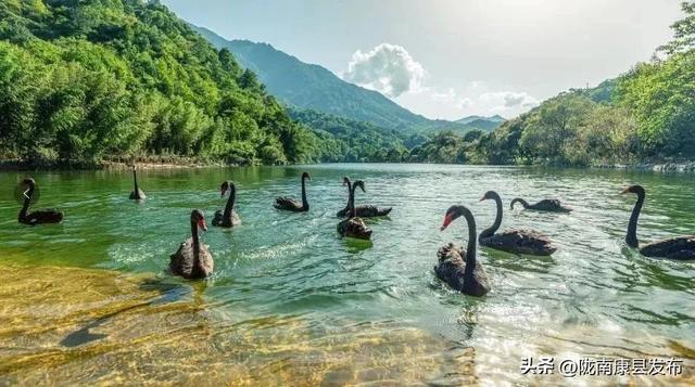 阳坝镇：在这片秘境里 邂逅文旅康养的诗意