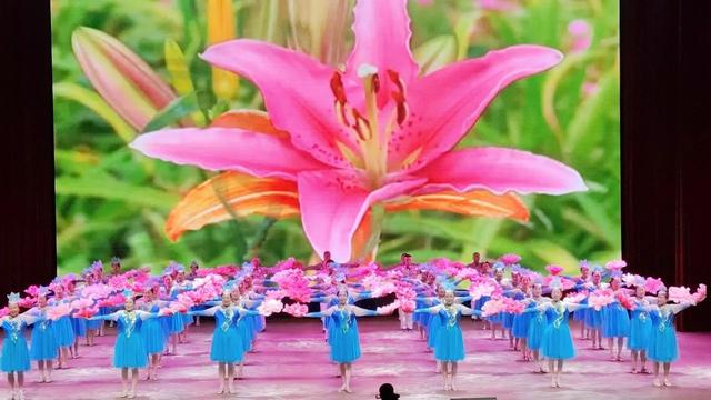 走进校园收获多·旅游文化展风采