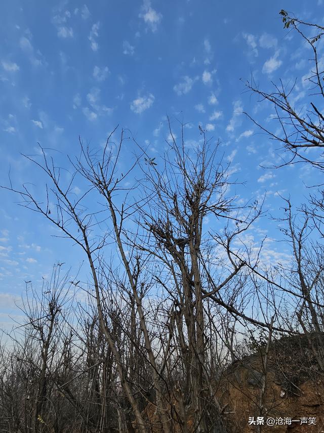 无限风光在险峰，美好夕阳无限好，黄昏时刻与之携手，看美景美图