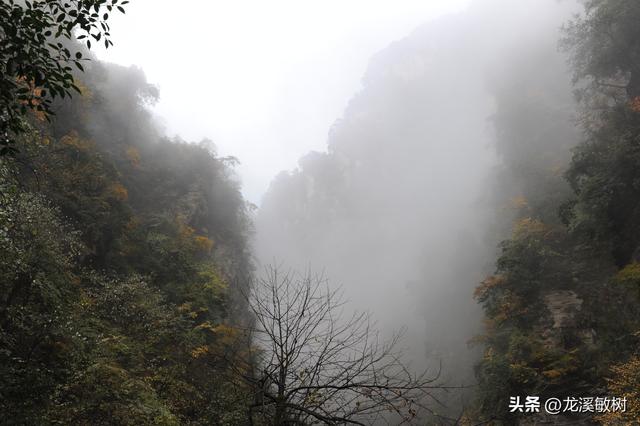 探险家塞弗尔率领探险队在车仁家族的帮助下，进入西藏进行考察