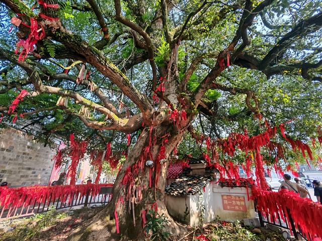 江西旅游：畅游道教发源地龙虎山（图）