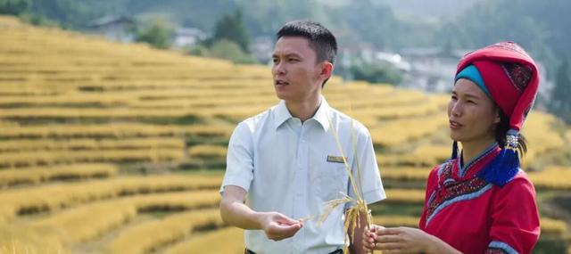 在连山，如何让一片梯田重获新生