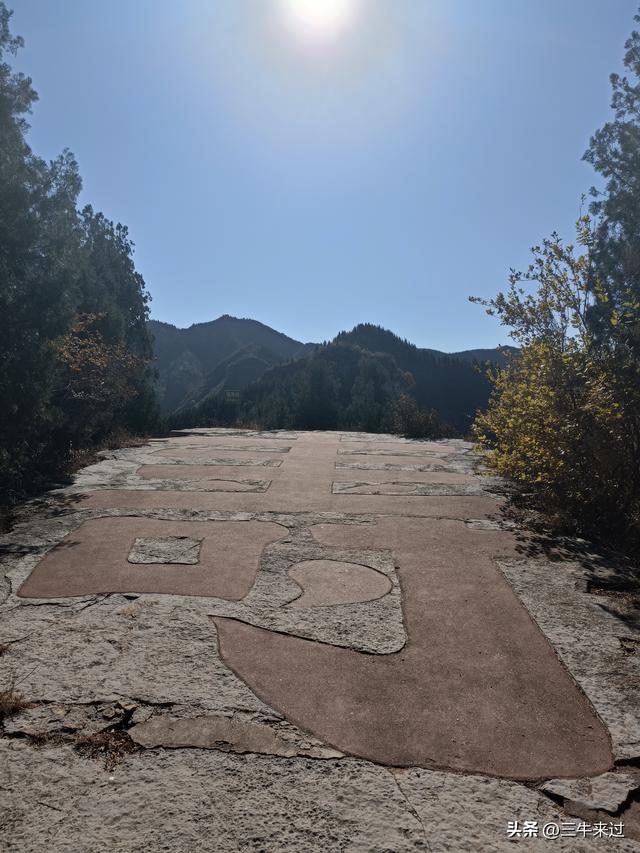 无为在歧路，2025之经行