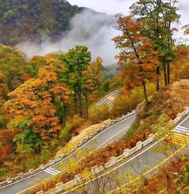 红叶爬上马鬃岭/郭兴华