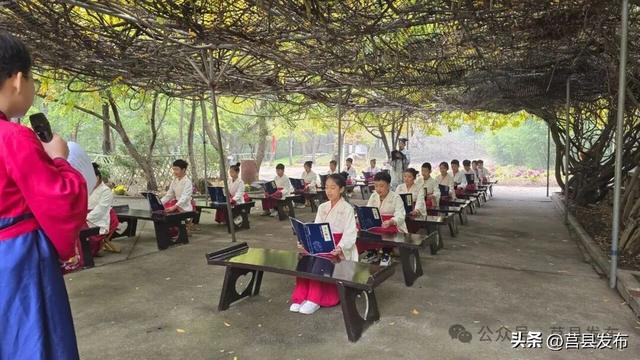 首日突破10000人！浮来山银杏季从从容容花式“宠客”！