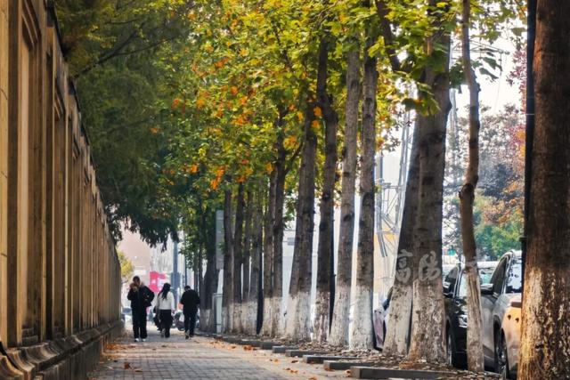 抓紧打卡！富阳人家门口的宝藏美景，错过要等明年！