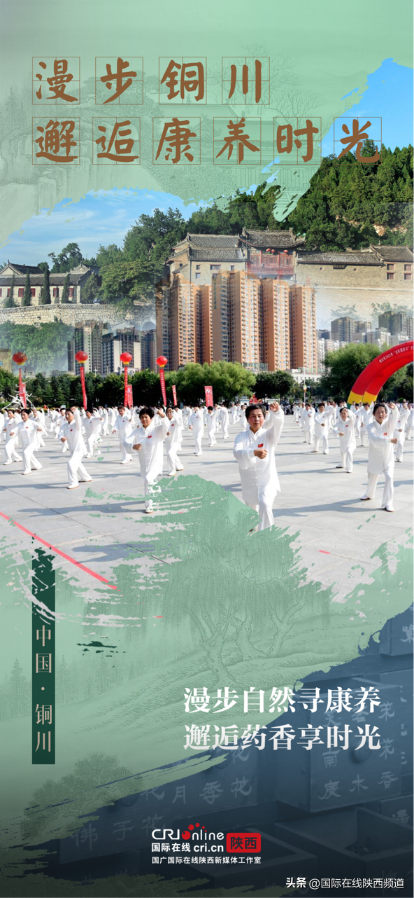 从药王故里到康养胜地 铜川解锁千年中医药文化传承密码（海报）
