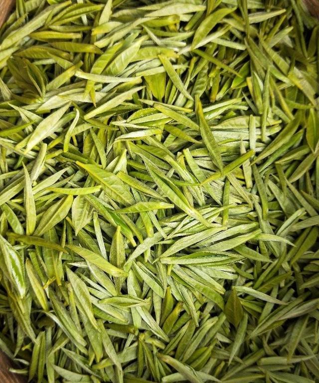 什么是毛尖茶？中国哪里的最好喝？网评这10大产区上榜，好喝不贵