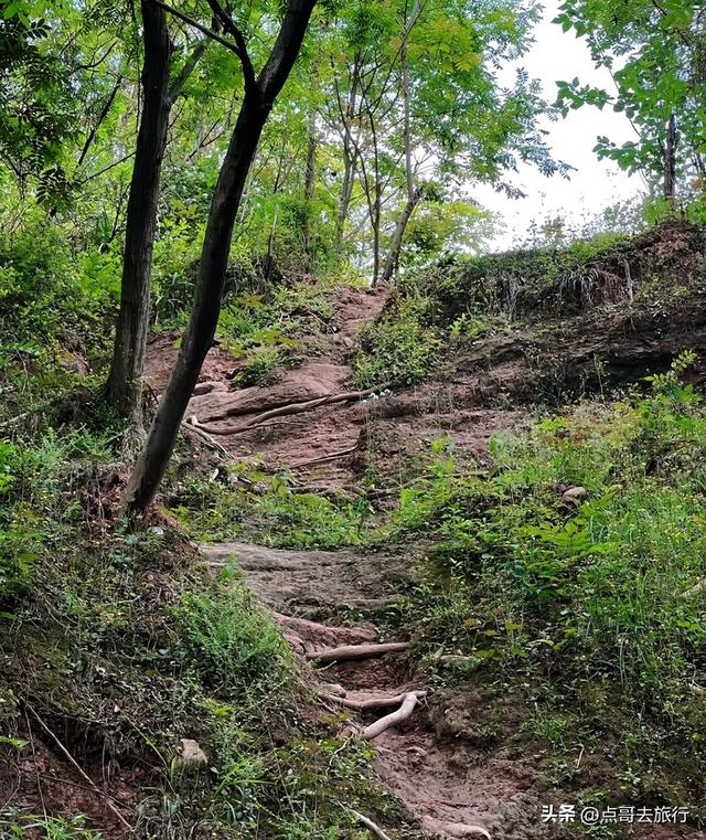 成都爬山徒步线路，全部免费，魅力不可挡，尽享山野宁静与清幽！