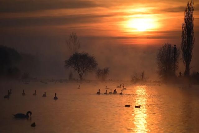 如要选一个冬季最佳拍雪景的地方,首选一定是它