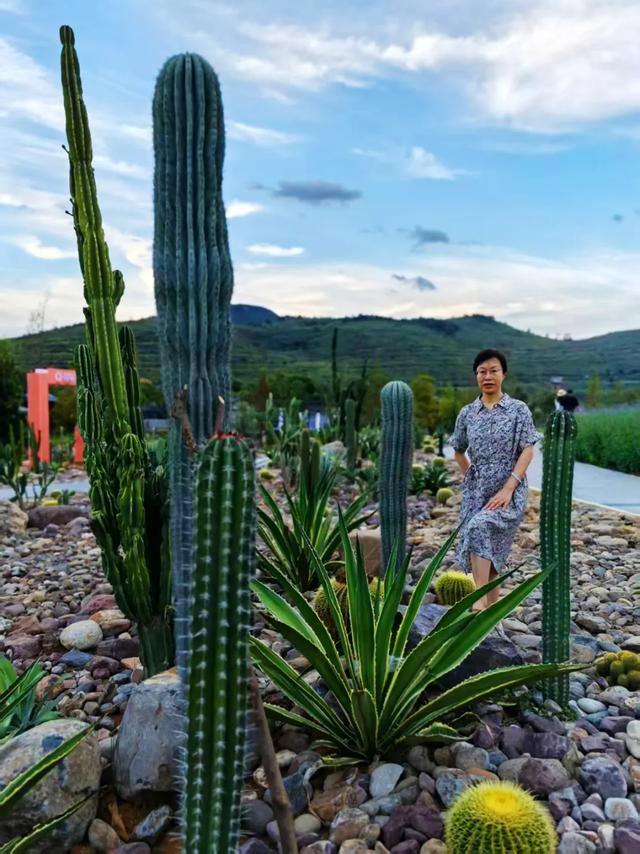 桂林：漓畔花海莲花源！