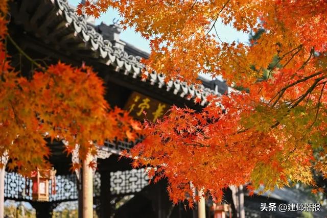 建邺5大封神赏景地,错过再等一年