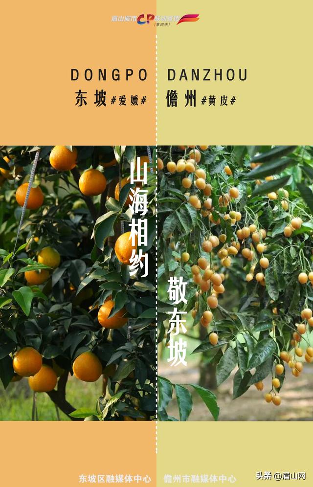 海报｜东坡&儋州：当椰风海韵遇见巴蜀烟雨—— 山海相约 我们何以敬东坡