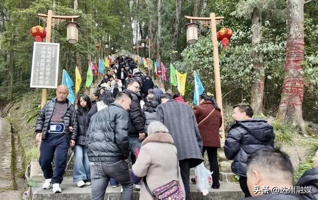 近600万人次！这个春节，达州火了！