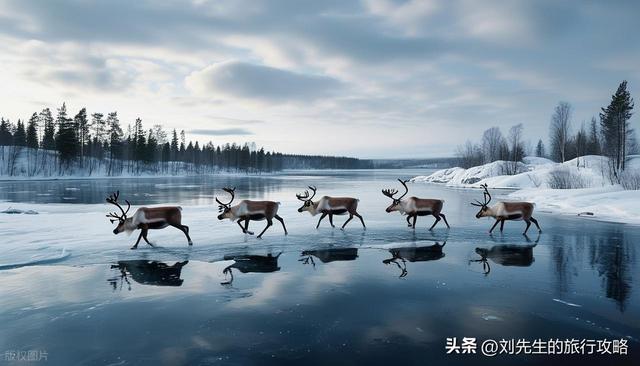 2025冬季旅行目的地推荐，浪漫冰雪、阳光海滩，总有一款治愈你！