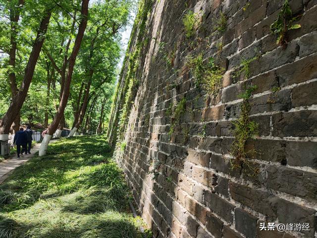 探秘九华山公园，寻找三藏塔和玄奘顶骨的故事