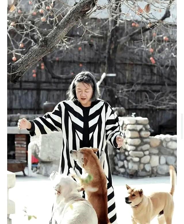 陈凯歌前妻洪晃京郊院子曝光	，百平空地长草，网友：哪像名门小院