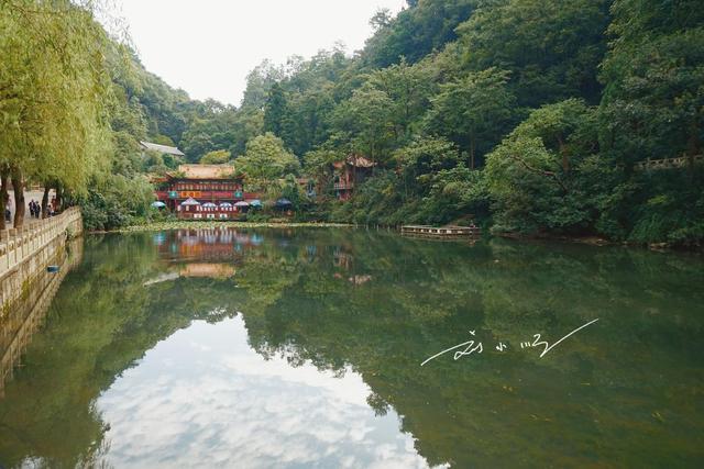 贵阳市中心竟然藏着一座“野生猴山”？现在还是国家4A级旅游景区