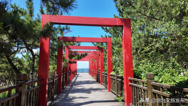 【乐享烟台】烟台自然博物馆：“五美融育”绘就“仙境海岸·最美博馆”